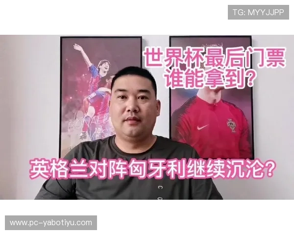 世界杯埃及对新西兰比赛门票购买途径及官方售票网站操作指南